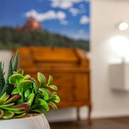 Righi Suite Apartment Болонья Экстерьер фото